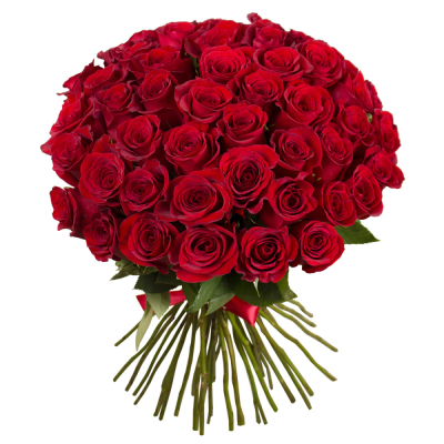 Букет «О, Шарман!» – 51 роскошная эквадорская роза Ижевск Удмуртская Республика