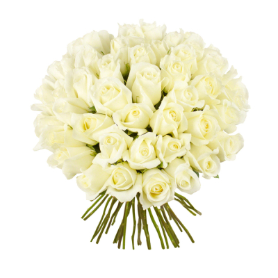 Роскошный букет из 51 белой розы – символ безграничной преданности Ижевск Удмуртская Республика