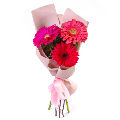 Яркий букет из 3 разноцветных гербер – маленькое чудо в ваших руках Ижевск Удмуртская Республика