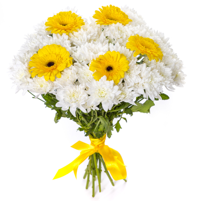 Солнечный букет из желтых гербер и белых хризантем – радость в каждом лепестке Ижевск Удмуртская Республика